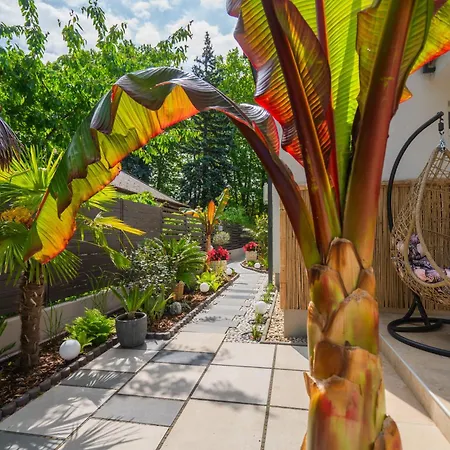 Aragda 2 Шиофок